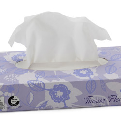 Kosmētiskās salvetes CELTEX Tissue Flowers, 100gab (40)