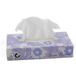 Kosmētiskās salvetes CELTEX Tissue Flowers, 100gab (40)