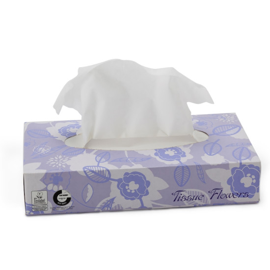 Kosmētiskās salvetes CELTEX Tissue Flowers, 100gab (40)