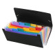 Mape-kartotēka Viquel Rainbow 26x13.5mm, ar gumiju, 12 nodalījumi, plastikāta, melna