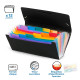 Mape-kartotēka Viquel Rainbow 26x13.5mm, ar gumiju, 12 nodalījumi, plastikāta, melna