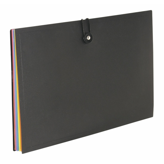 Папка-органайзер Viquel Rainbow, Multicolor, 8 секций
