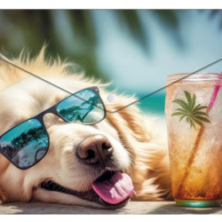 Mape aploksne ar spiedpogu CHILLOUT DOG, A4