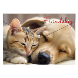 Mape aploksne ar pogu FRIENDSHIP, A4