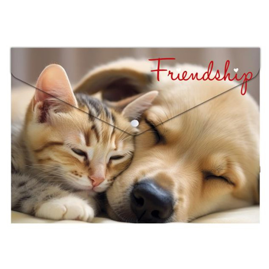 Mape aploksne ar pogu FRIENDSHIP, A4