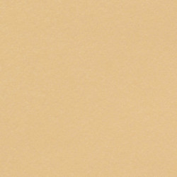 Kartona loksne Olin Colours 70x1000cm, 240g, Fawn