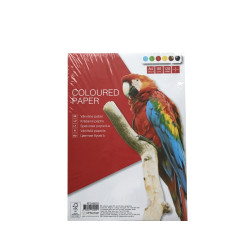 Цветная бумага College KPF Отдельные листы, Multicolor