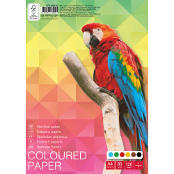 Цветная бумага College KPF Отдельные листы, Multicolor