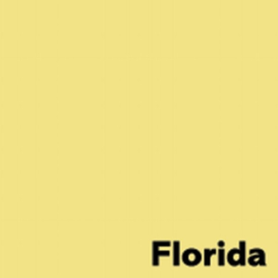 Papīrs IMAGE COLORACTION 80g, A4 (500) dzeltens Florida/lemon yellow