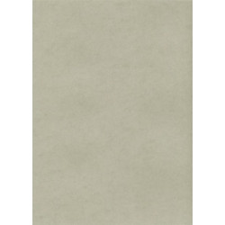 Dekoratīvais kartons Kreska A4, 230g/m², 10 loksnes, W72 Smooth Platin