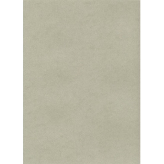 Dekoratīvais kartons Kreska A4, 230g/m², 10 loksnes, W72 Smooth Platin
