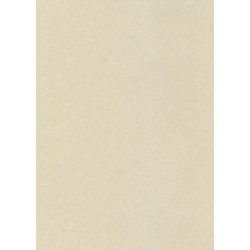 Бумага для визитных карточек Kreska W73, White, 73gsm