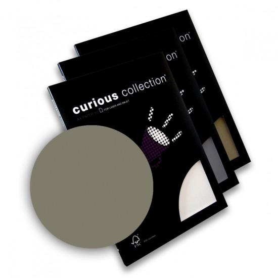 Tekstūrpapīrs Curious Metalics, A4, 120g/m2, 50loksnes/iep, galvanized
