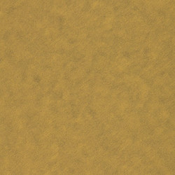 Tekstūrpapīrs Curios Alchemy A4, 120g/m², 50 loksnes, zelta