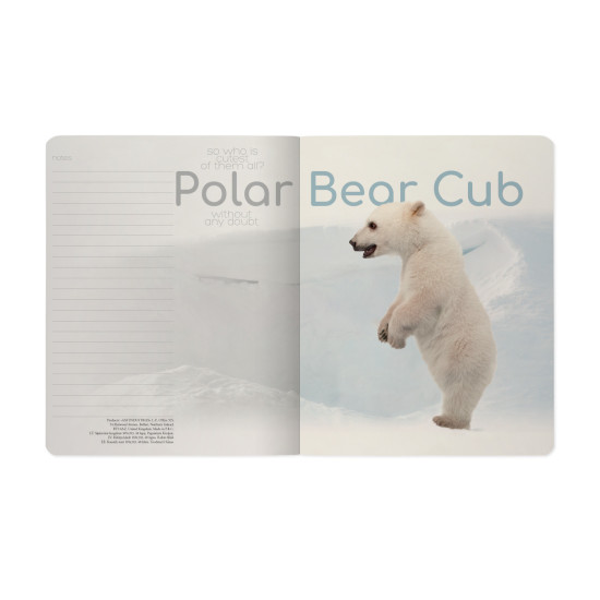 Rūtiņu klade Bruno Visconti Polar Bear Cub A5, 48 lapas, mīkstos vākos