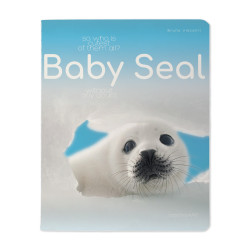 *Rūtiņu klade Bruno Visconti Baby Seal A5, 48 lapas, mīkstos vākos