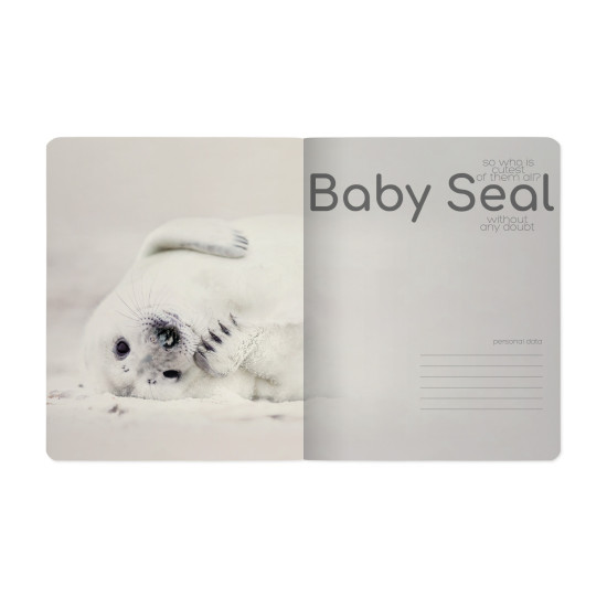 *Rūtiņu klade Bruno Visconti Baby Seal A5, 48 lapas, mīkstos vākos