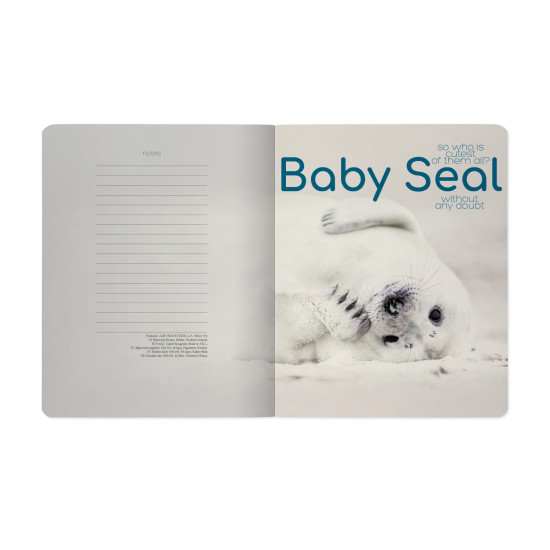 *Rūtiņu klade Bruno Visconti Baby Seal A5, 48 lapas, mīkstos vākos