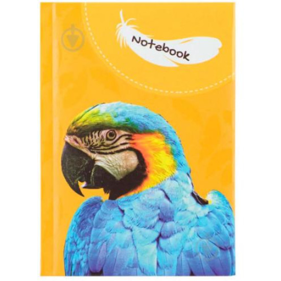 *Rūtiņu klade CFS Wild Spirit A6, 80 lapas, cietos vākos, Parrot