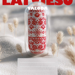 Līniju klade Disco Latviešu valodai 174x274mm, ar formulām, 50 lapas