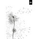 Спиральная тетрадь College KF161108, с плоским раскрытием, Black-and-White