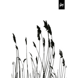 Спиральная тетрадь College KF161108, с плоским раскрытием, Black-and-White