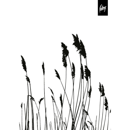 Спиральная тетрадь College KF161108, с плоским раскрытием, Black-and-White