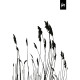 Спиральная тетрадь College KF161108, с плоским раскрытием, Black-and-White