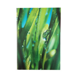 Тетрадь College Spiral Notebook, Multicolor, 5 Разделителей