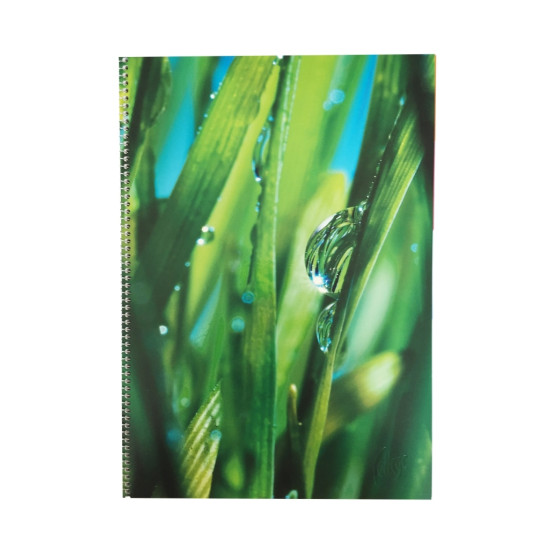 Тетрадь College Spiral Notebook, Multicolor, 5 Разделителей