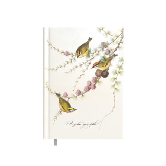 Планировщик Little Birds Business City, Grey