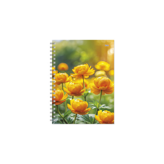 Plānotājs ar spirāli Tempo Spiral Design Diena, kartona vāki, Globeflowers