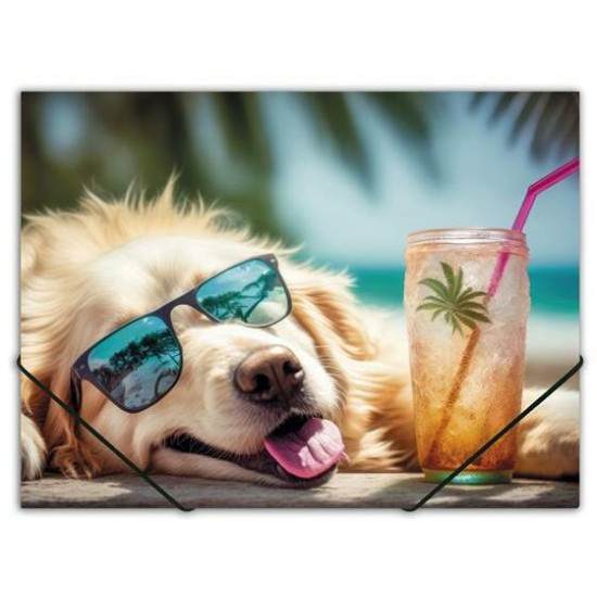 Mape ar gumiju Panta Plast A4, 500mikr., plastikāta, Chillout Dog