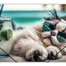 Mape ar gumiju Panta Plast A4, 500mikr., plastikāta, Chillout Cat