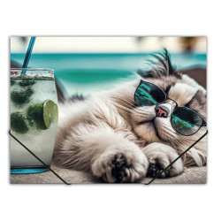Mape ar gumiju Panta Plast A4, 500mikr., plastikāta, Chillout Cat