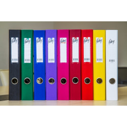 Mape-reģistrs College A4, 5cm, PP+PP, bordo