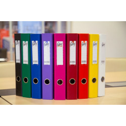 Mape-reģistrs College A4, 5cm, PP+PP, aveņu krāsas