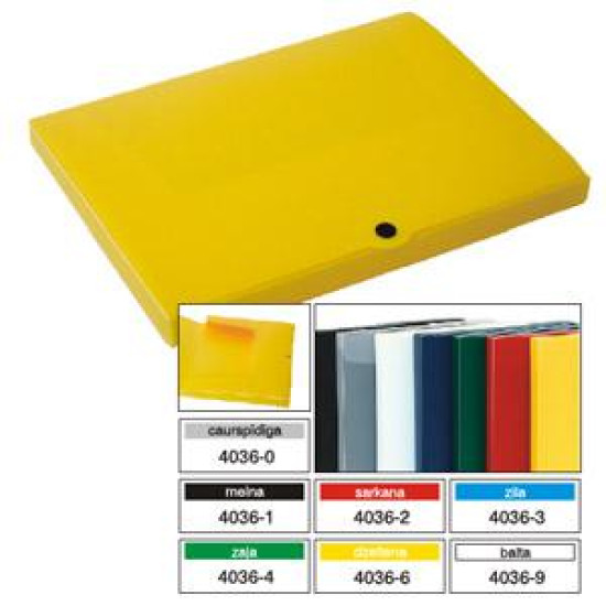 Mape ar pogu Multi-S A4, plastikāta, 20mm, zila