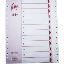 Plastikāta sadalītāji College Maxi A4+, 1-12