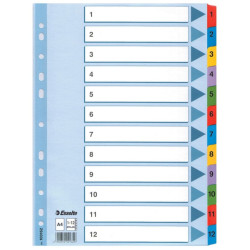 Dokumentu sadalītāji Esselte Mylar, A4, 1-12, krāsaini