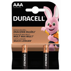 Baterijas Duracell AAA/LR03/MN2400 1.5V Alkaline, 2gab/iep