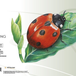 Zīmēšanas albums College A3, 120g/m², 30 loksnes