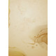 Diplomi College A5, 170g/m², 25 loksnes, Marmora raksts