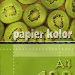 Krāsains papīrs A4, 80g/m², 100 loksnes, Brown
