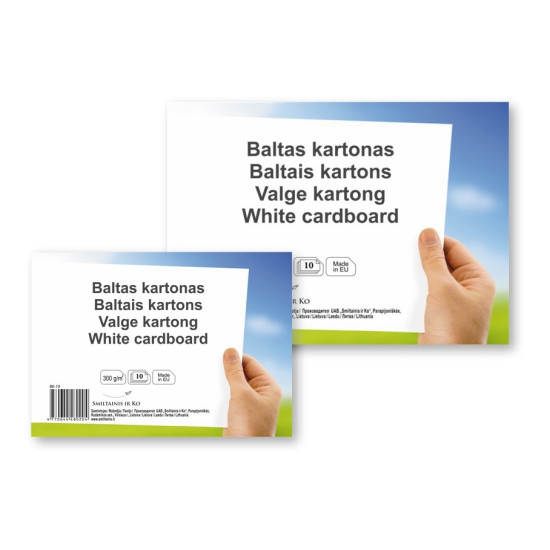Kartons SM-LT A4, 300g/m², 10 loksnes, balts